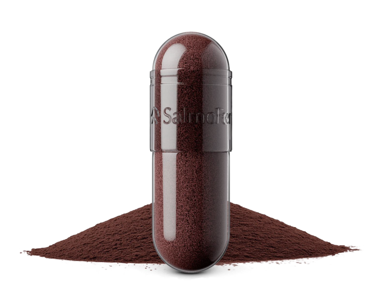 A clear capsule-shaped container filled with SalmoFer iron, standing upright on a small pile of the same powder against a white background. The capsule has a translucent gray band near the top and faint embossed text reading 'SalmoFer'.